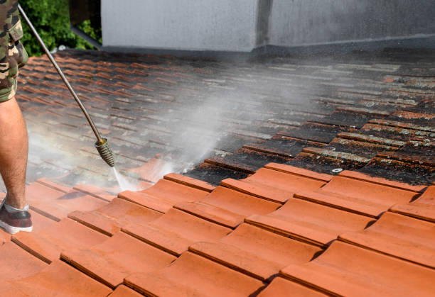 Best Pressure Washing Brick  in East Sparta, OH