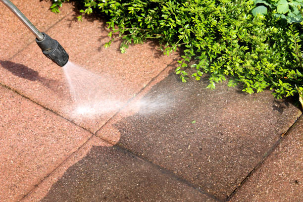 Best Local Pressure Washing Services  in East Sparta, OH